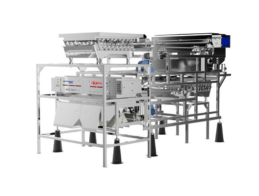 chất lượng  Customized Fruit Sorting Machine Belt Type 1.0-1.5T/H Blueberry Color Sorter nhà máy sản xuất
