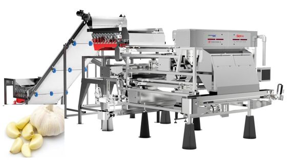 chất lượng  Precise Removal Garlic Color Sorter Processing Equipment Belt Type 1.0-1.5 t/h nhà máy sản xuất