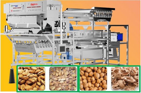 Belt Type Almond Sorting Machine , Walnut Color Sorter Precise Removal