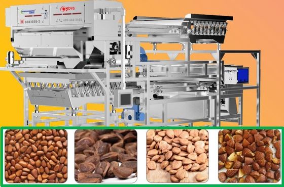 Coreprogram Nuts Color Sorter Double layer Belt Type Almond Sorting Equipment 5400 pixel